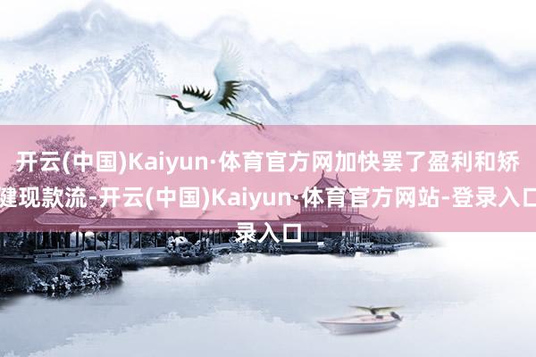 开云(中国)Kaiyun·体育官方网加快罢了盈利和矫健现款流-开云(中国)Kaiyun·体育官方网站-登录入口