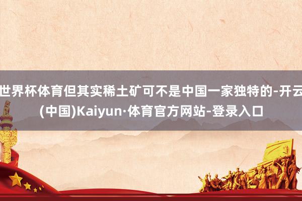 世界杯体育但其实稀土矿可不是中国一家独特的-开云(中国)Kaiyun·体育官方网站-登录入口