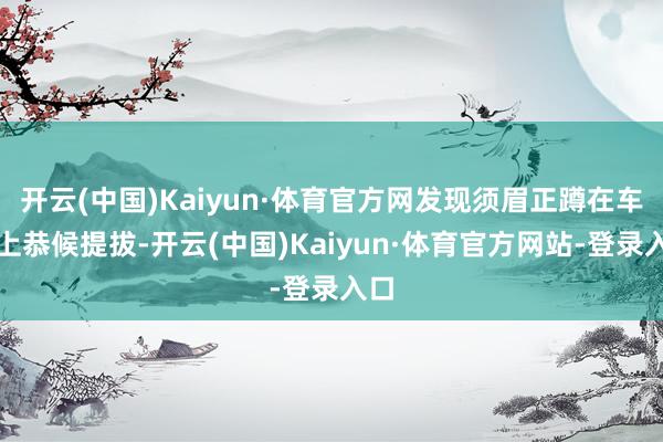 开云(中国)Kaiyun·体育官方网发现须眉正蹲在车顶上恭候提拔-开云(中国)Kaiyun·体育官方网站-登录入口