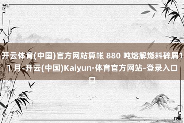 开云体育(中国)官方网站算帐 880 吨熔解燃料碎屑11 月-开云(中国)Kaiyun·体育官方网站-登录入口