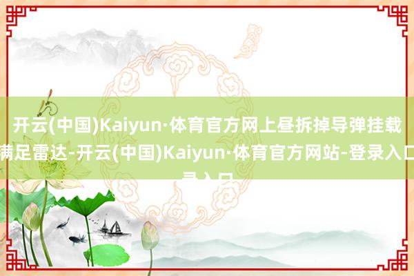 开云(中国)Kaiyun·体育官方网上昼拆掉导弹挂载满足雷达-开云(中国)Kaiyun·体育官方网站-登录入口