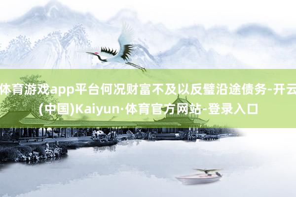 体育游戏app平台何况财富不及以反璧沿途债务-开云(中国)Kaiyun·体育官方网站-登录入口