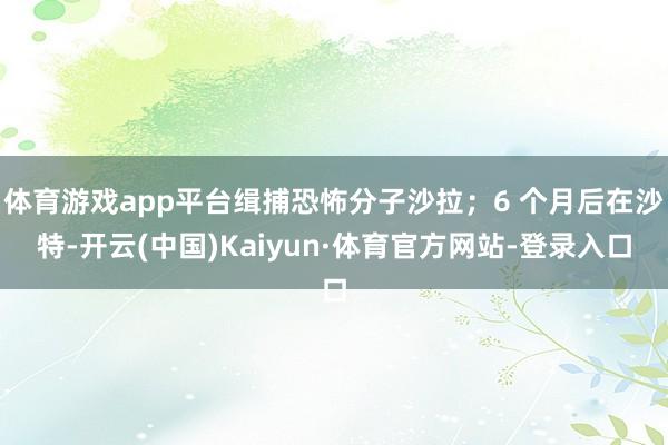体育游戏app平台缉捕恐怖分子沙拉；6 个月后在沙特-开云(中国)Kaiyun·体育官方网站-登录入口